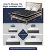 Zbox Orthopaedic Microgrid 8 Inch Cooling Airvent and Aero Sleep Single Size Mattress