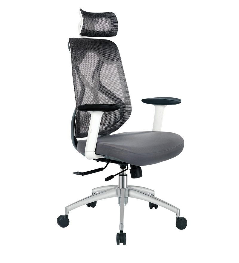 Buy Zen High Back Ergonomic Chair in Grey Colour by Oblique Online ...