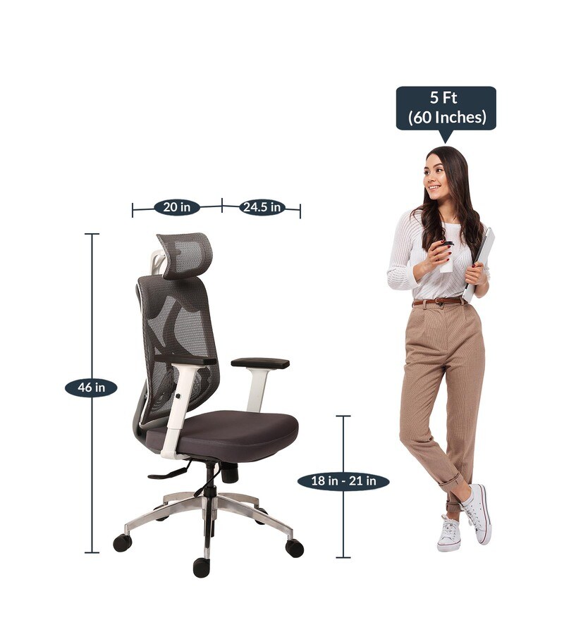 Buy Zen High Back Ergonomic Chair in White & Grey Colour by Star India