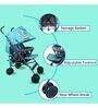 Zebbie Baby Stroller with Canopy in Blue Colour