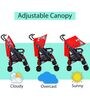 Zebbie Baby Stroller with Canopy in Red Colour