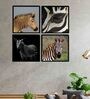 Zebra Black Engineered Wood Framed Wildlife Art Print Set of 4