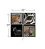 Zebra Black Engineered Wood Framed Wildlife Art Print Set of 4