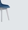 Zelo Fiber Cafe Chair In Blue Color