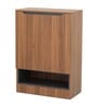 Zen 2 Door Shoe Rack In Walnut Brown Finish