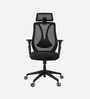 Zen Breathable Mesh Ergonomic Chair in Black colour With Headrest
