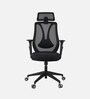 Zen Breathable Mesh Ergonomic Chair in Black colour With Headrest