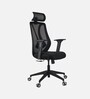 Zen Breathable Mesh Ergonomic Chair in Black colour With Headrest