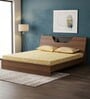 Zen Queen Sized Bed In Brown Finish Without Storage