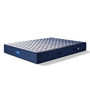 Furfeel 8 inch Pocketed Spring King Size Mattress in Blue Colour (With 2 Free Pillows)