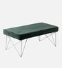 Zenith Bench In Dark Green Colour
