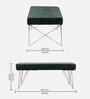 Zenith Bench In Dark Green Colour