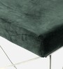Zenith Bench In Dark Green Colour