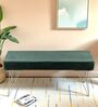 Zenith Bench In Dark Green Colour