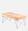 Zenith Bench In Peach Colour