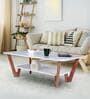 Zenith Coffee Table in Frosty White Colour