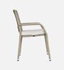 Zenith Wicker Patio Chair in Ash Colour