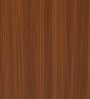 Zentra Dual Tone Center Table With MultiShelve In Walnut Finish Zentra Dual Tone Center Table With MultiShelve In Walnut Finish