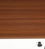 Zentra Dual Tone Center Table With MultiShelve In Walnut Finish Zentra Dual Tone Center Table With MultiShelve In Walnut Finish