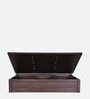 Zephyr Queen Size Bed In White And Brown color With Hydraulic Storage