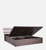 Zephyr Queen Size Bed In White And Brown color With Hydraulic Storage