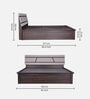 Zephyr Queen Size Bed In White And Brown color With Hydraulic Storage