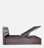 Zephyr Queen Size Bed In White And Brown color With Hydraulic Storage