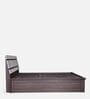 Zephyr Queen Size Bed In White And Brown color With Hydraulic Storage