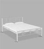 Zeplin Queen Size Bed in Silver Finish