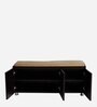 zest Shoe Rack with Seating in Wenge Finish