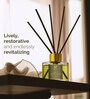 Zesty Lemongrass Aroma Reed Diffuser Set | 100Ml