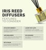 Zesty Lemongrass Aroma Reed Diffuser Set | 100Ml Zesty Lemongrass Aroma Reed Diffuser Set | 100Ml