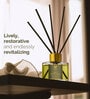 Zesty Lemongrass Aroma Reed Diffuser Set | 100Ml Zesty Lemongrass Aroma Reed Diffuser Set | 100Ml