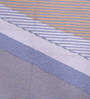 Zigzag Carpet with Vertical Lines in Multicolour