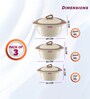 Zinna  Brown Plastic & Steel Thermoware Casserole (Set of 3)