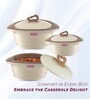 Zinna  Brown Plastic & Steel Thermoware Casserole (Set of 3)