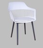 Zinnia Plastic Cafe Chair in White Colour