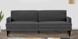 Zoya Fabric 3 Seater Convertible Sofa Cum Bed in Charcoal Grey Colour