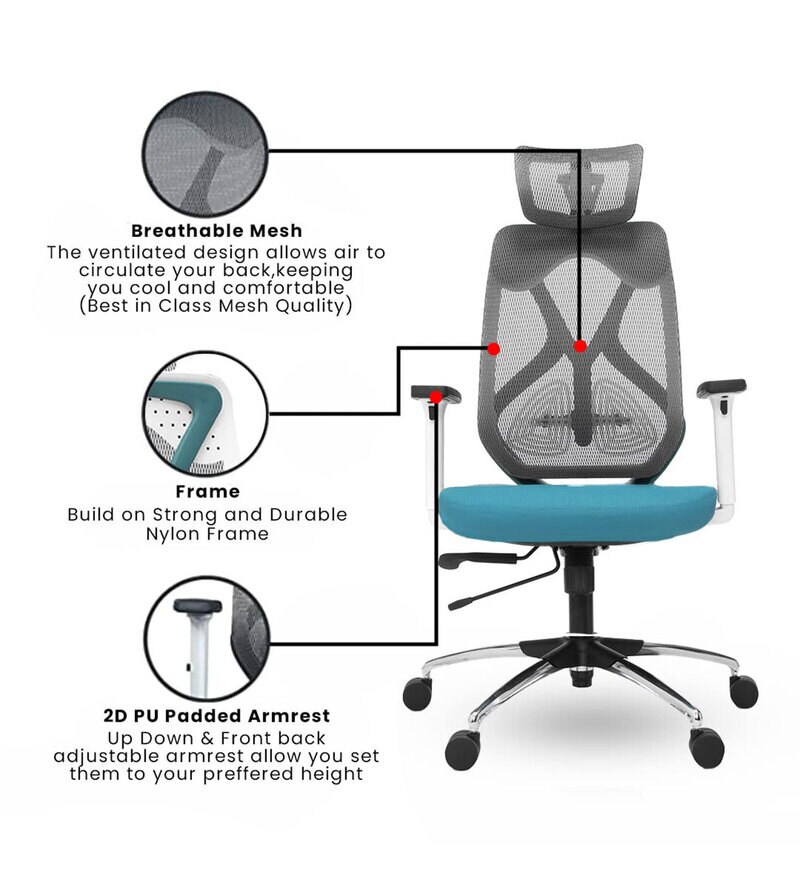 Buy Zodiac Pro High Back Ergonomic Chair in Teal White by Green Soul