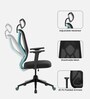 Zodiac Breathable Mesh Ergonomic Chair In Teal Black Colour