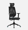 Zodiac Breathable Mesh Ergonomic Chair In Teal Black Colour