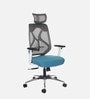 Zodiac Breathable Mesh Ergonomic Chair in Teal White Colour with Headrest