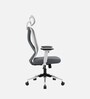 Zodiac Nylon Erognomic Office Chair in White & Grey Colour