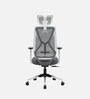 Zodiac Nylon Erognomic Office Chair in White & Grey Colour