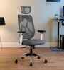 Zodiac Nylon Erognomic Office Chair in White & Grey Colour
