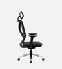 Zodiac Superb Ergonomic Office Chair In Black Color