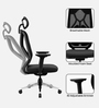 Zodiac Superb Ergonomic Office Chair In Black Color