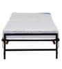Zoe Folding Bed In Black Finish
