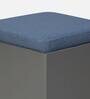 Zolo Nesting Coffee Table Set in Blue & Grey Finish with 4 Stool