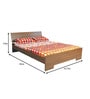 Zuari Star Queen Size bed 